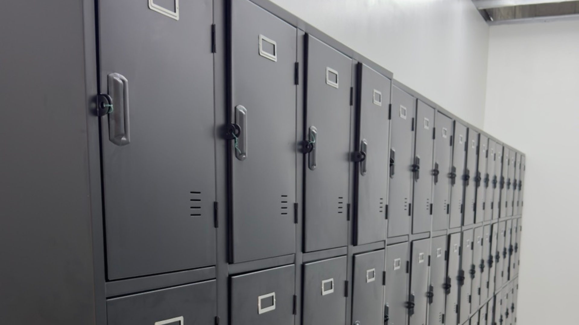 File Compactors vs. Traditional Storage Solutions: Making the Right Choice for Your Office​